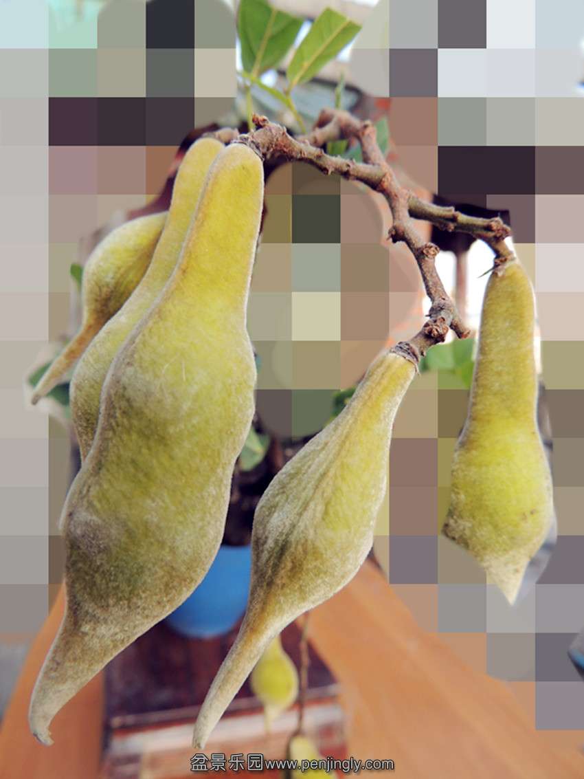 DSCN1595_.jpg