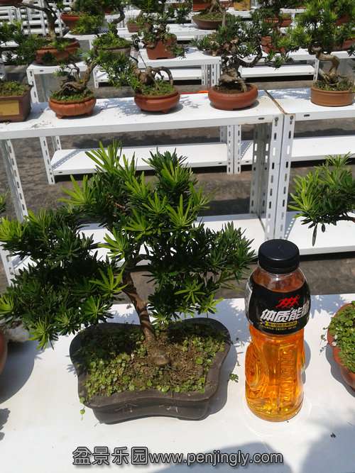 2013-09-09 12.35.19.jpg