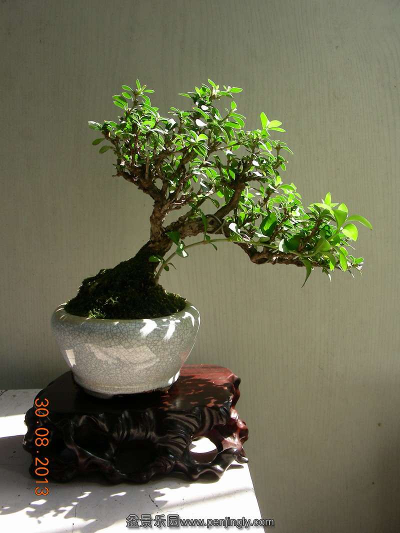 DSCN3497.JPG
