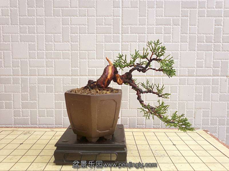 20130906429_.jpg