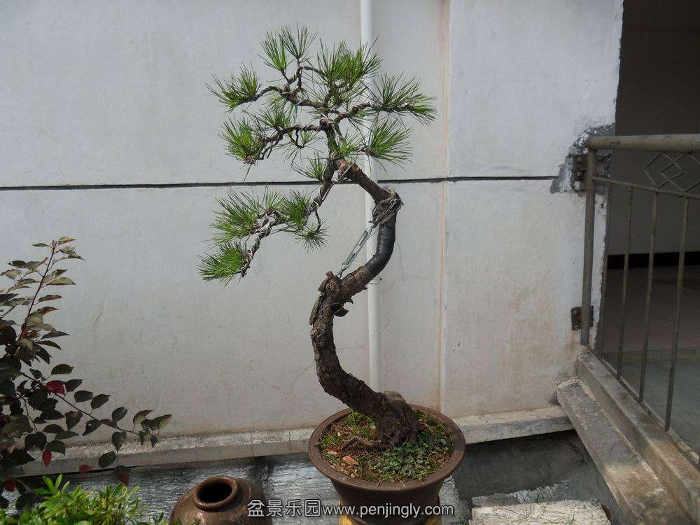 SDC10688.JPG