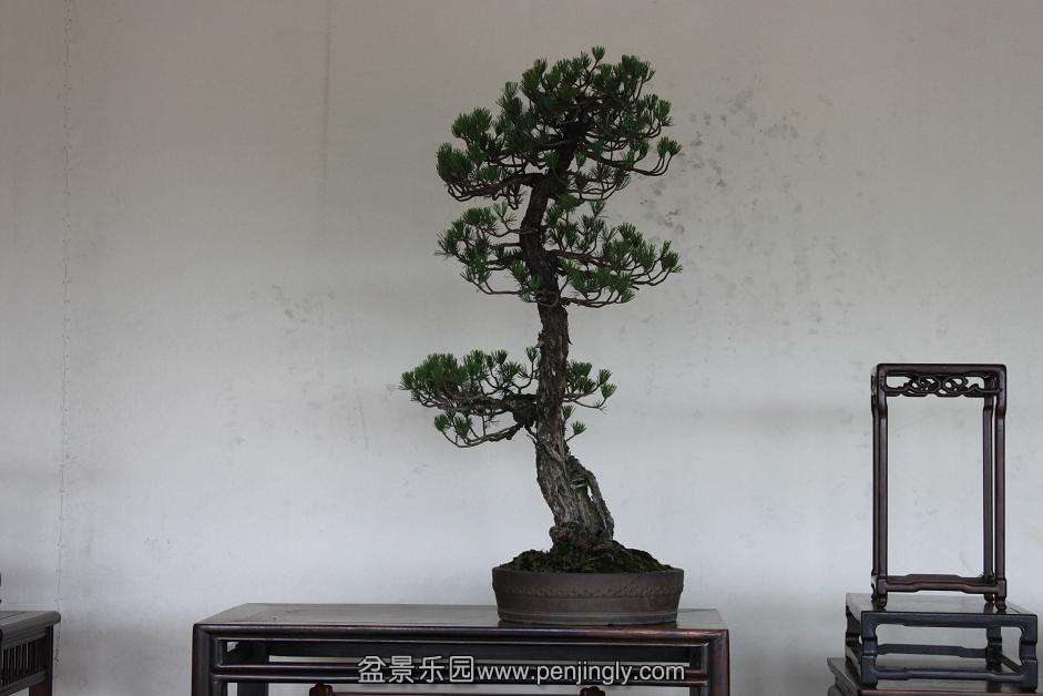 Ƭ 005.jpg