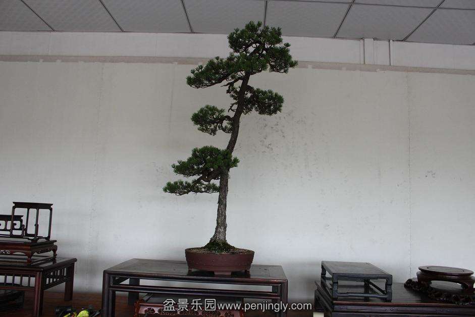 Ƭ 006.jpg