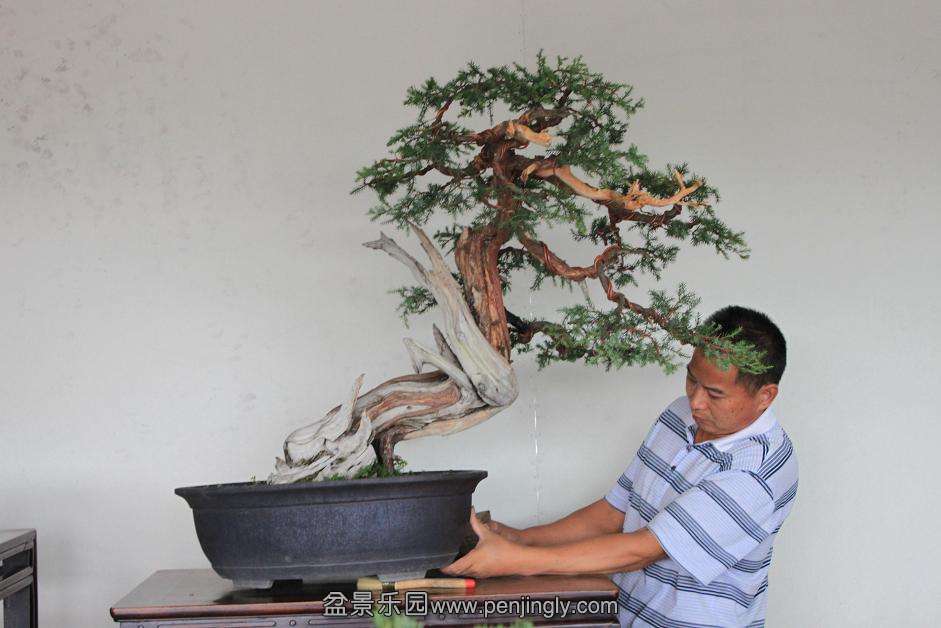 Ƭ 019.jpg