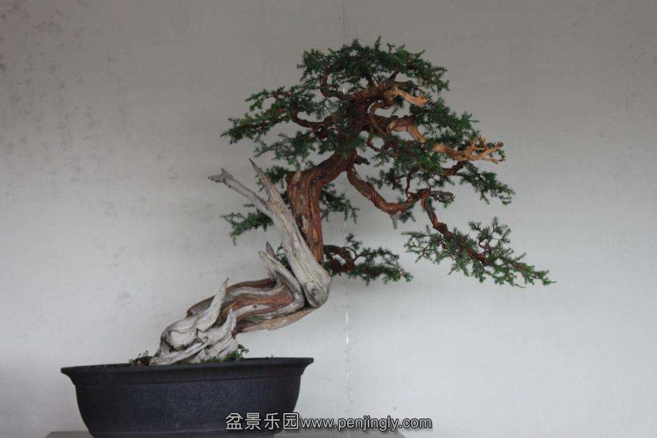 Ƭ 020.jpg