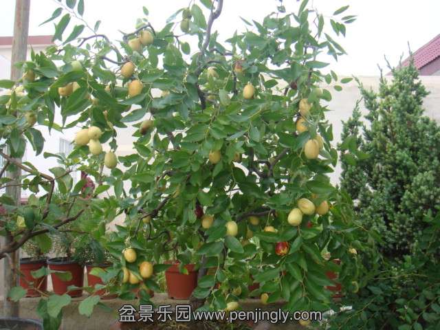DSC08708.JPG