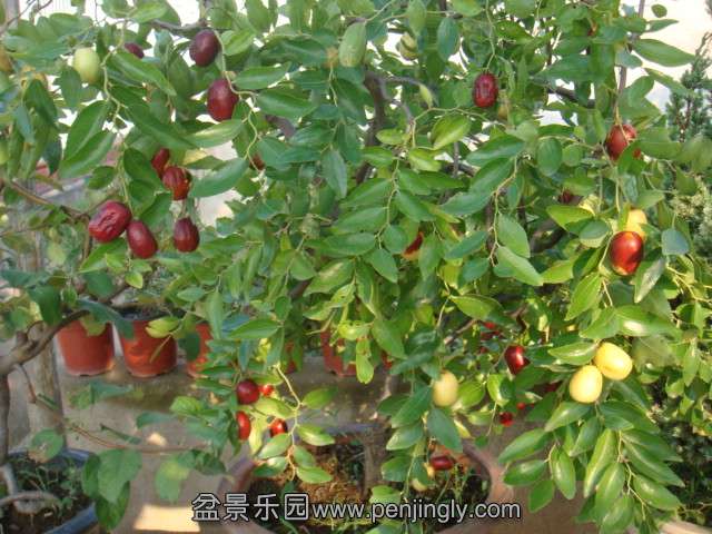 DSC08718.JPG