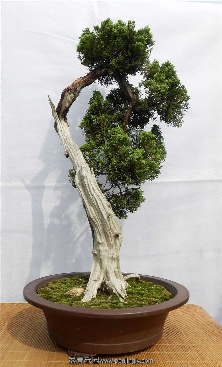 ˡ 90cm X 50cm