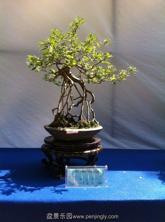 QQͼƬ20130915105907.jpg