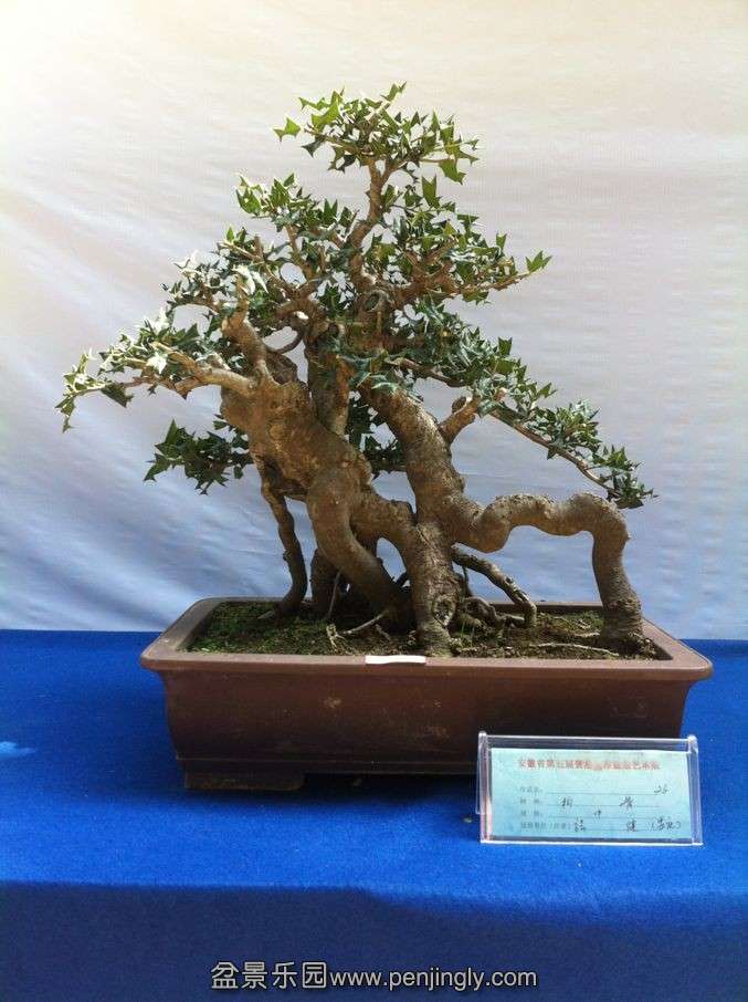 QQͼƬ20130915105924.jpg