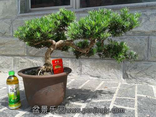 2013-09-15 12.35.39.jpg