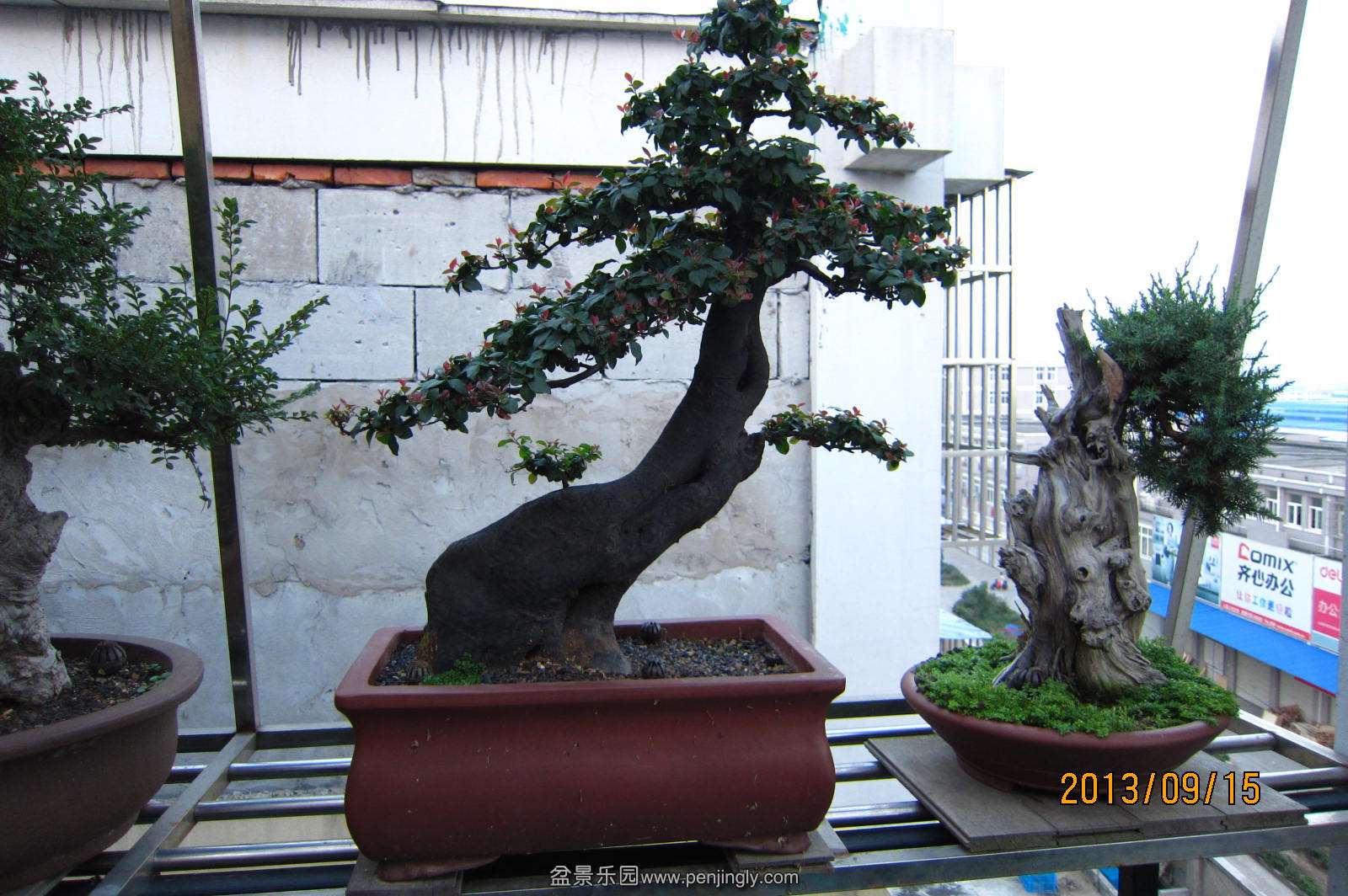 IMG_0015.JPG
