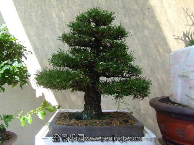 DSCF1155.JPG