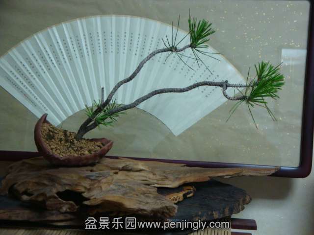 DSC05142.JPG