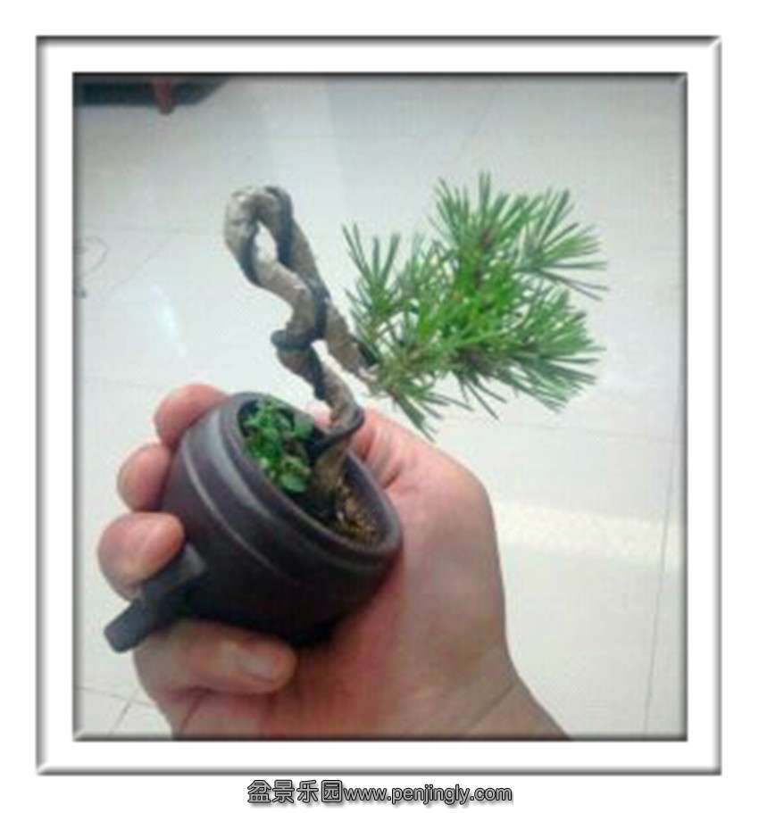 1375429912072_副本.jpg