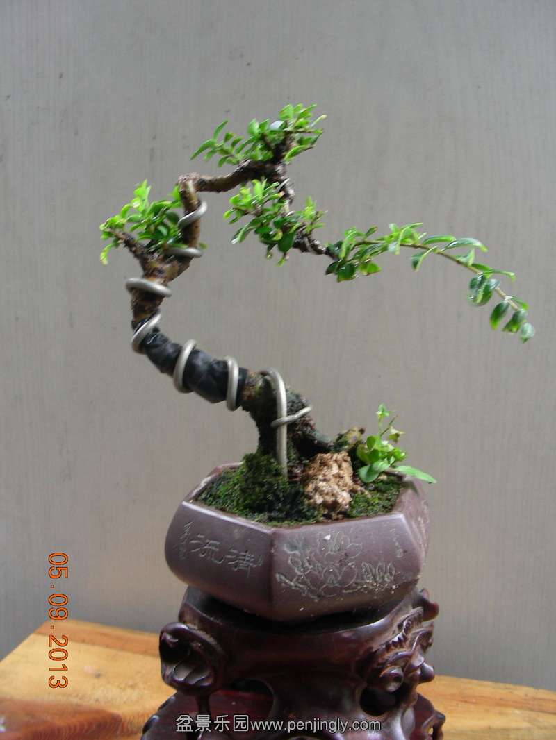 DSCN3546.JPG