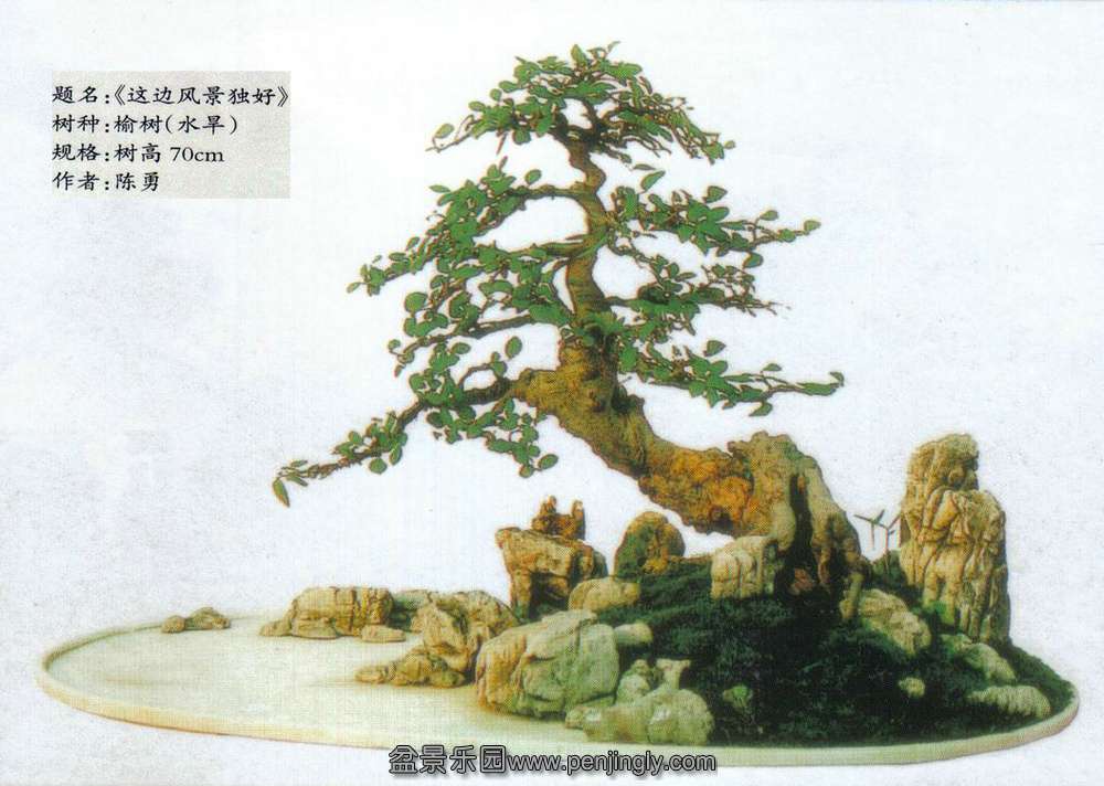 辰--.jpg