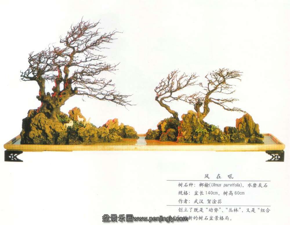 ݥںˮĥʯ.jpg