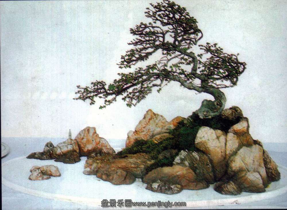 ʯչ-֣â-ʯ.jpg