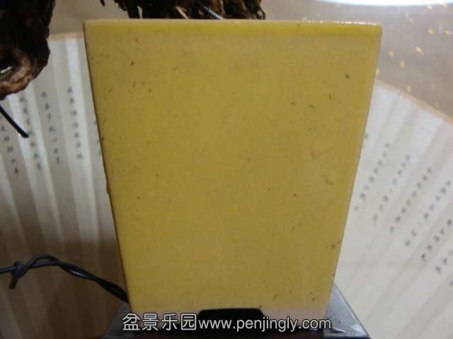 DSC04936.JPG