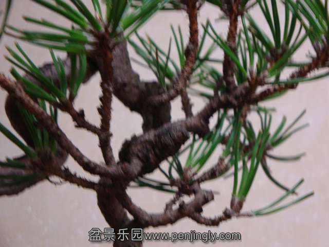 DSC05141.JPG