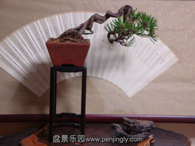 DSC05137.JPG