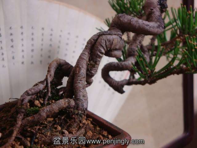 DSC05139.JPG