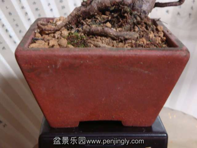 DSC05140.JPG