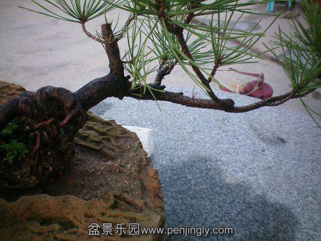 100_0190.JPG