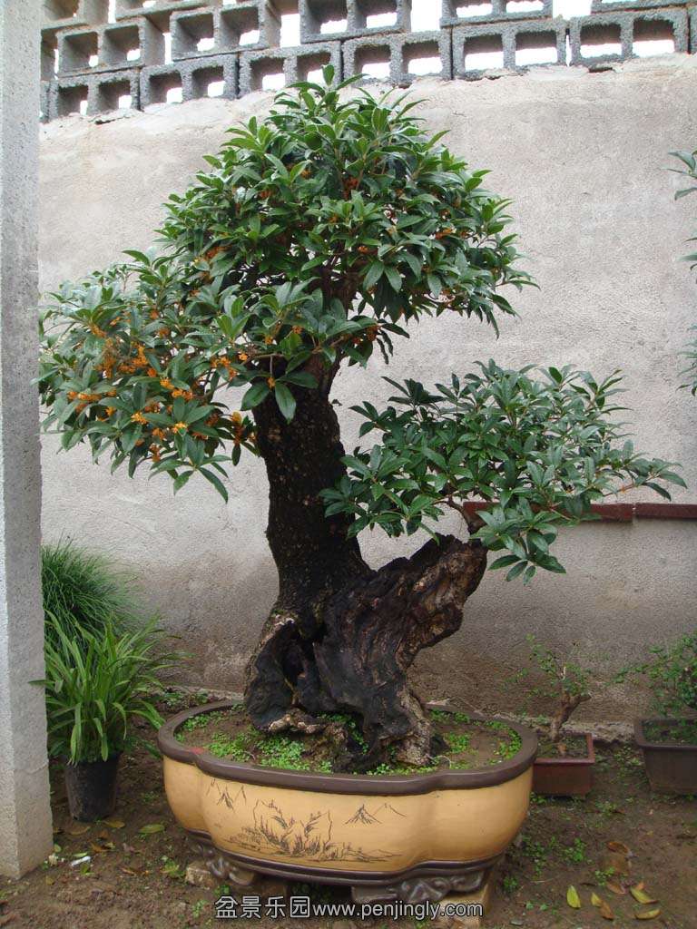 DSC00131.JPG