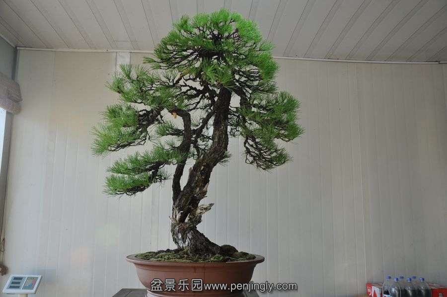 ҵ辰 012.jpg
