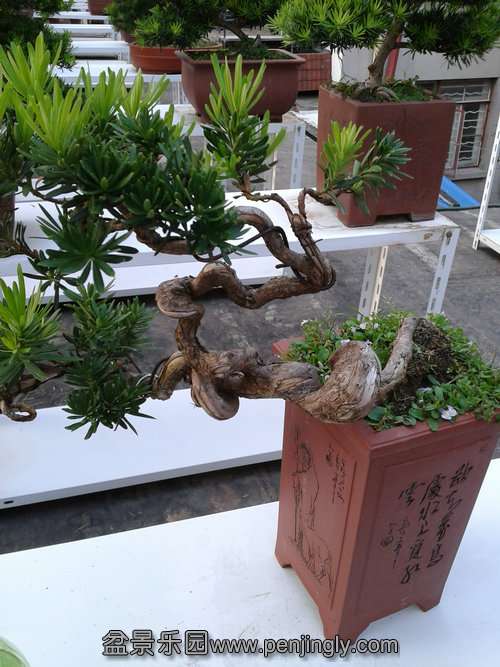2013-09-19 17.25.06.jpg