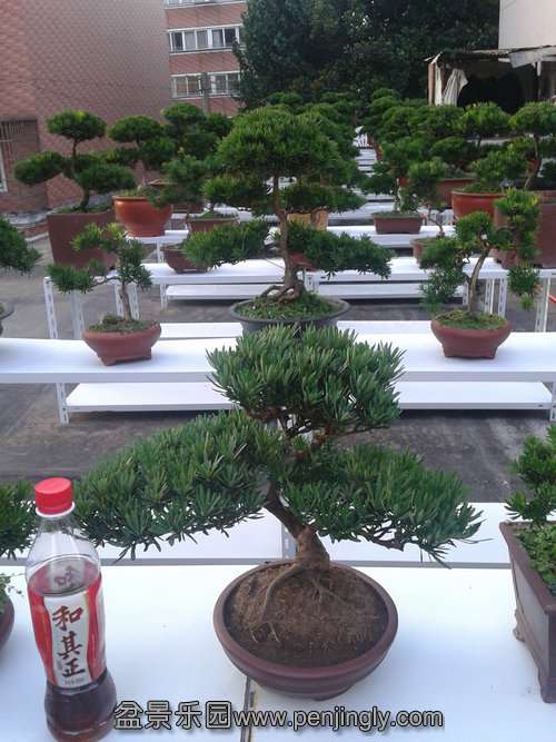 2013-07-23 18.26.39.jpg