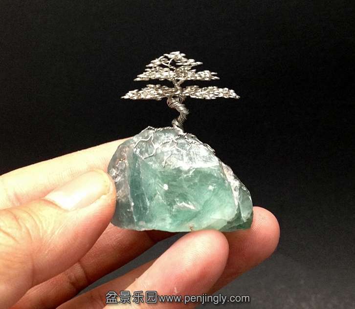 micro_root_on_rock_wire_bonsai_tree_by_ken_to_by_kentoart-d6gdhq4_conew1.jpg