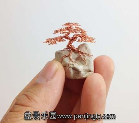 photo(2)_conew1.jpg