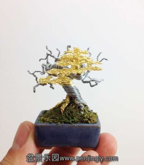 golddeadwood_conew1.jpg