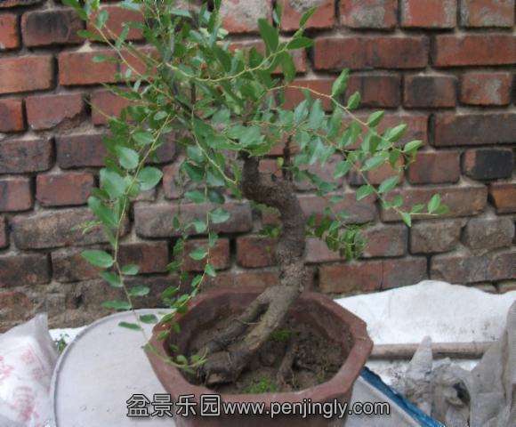 DSCF2039.jpg