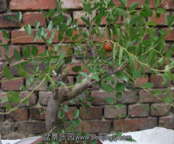 DSCF2038.jpg