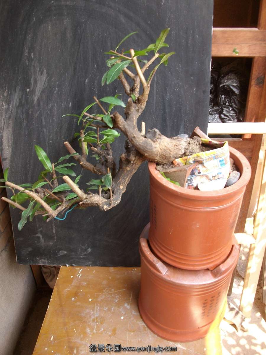 SANY0862.JPG