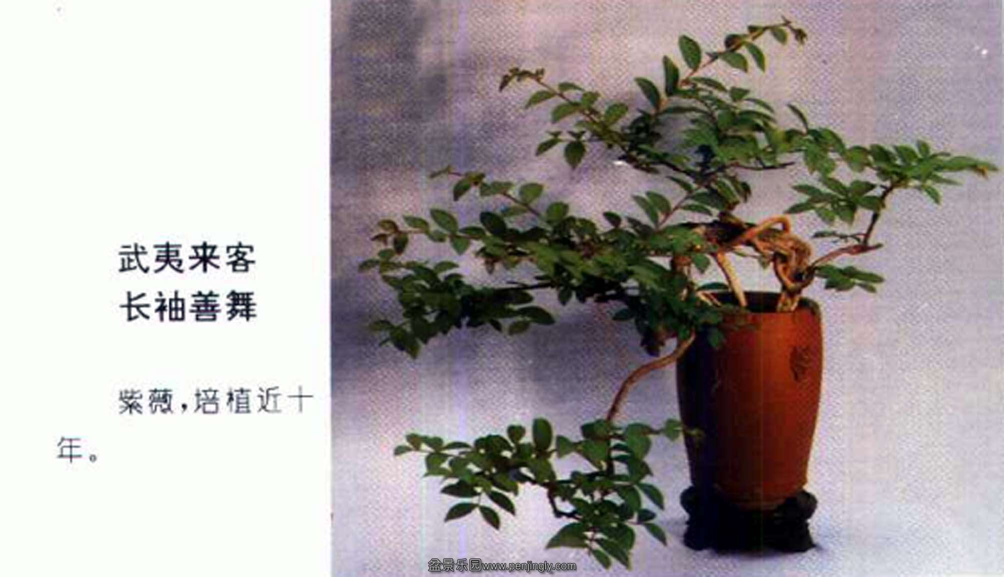 һ--ޱ.jpg