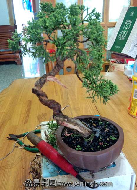 P30920-171307__.jpg