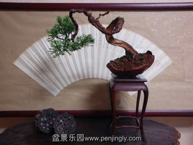 DSC05184.JPG