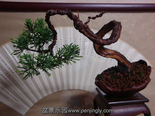 DSC05185.JPG