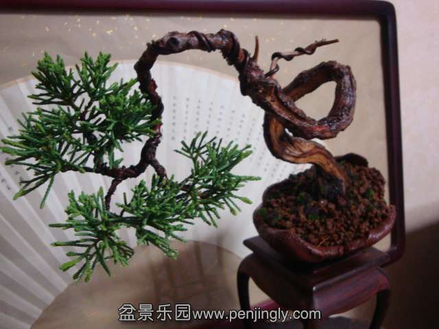 DSC05187.JPG