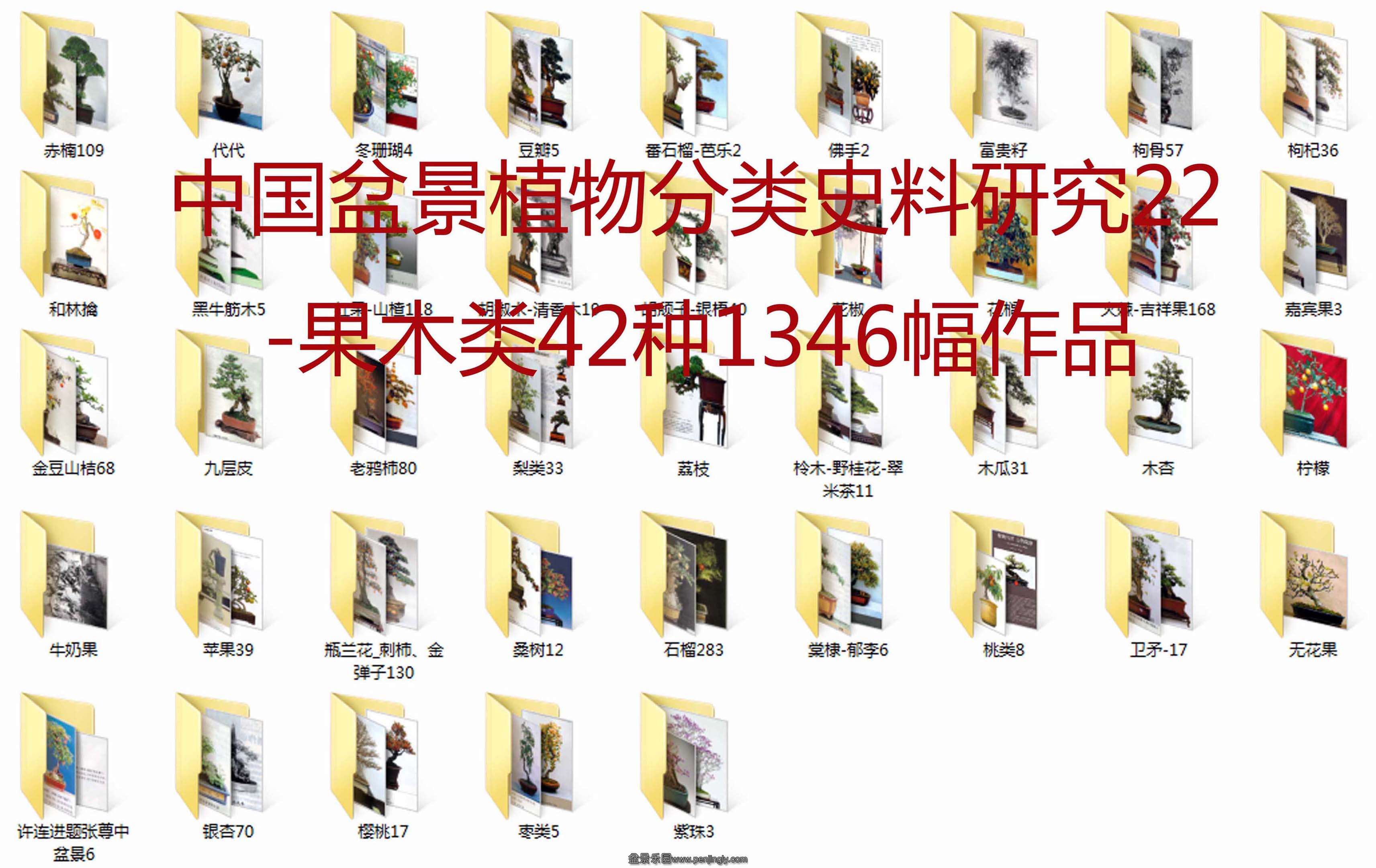 中国盆景植物分类史料研究22-果木类42种1346幅作品 拷贝.jpg