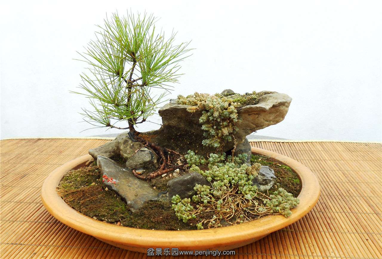 DSCN0735.jpg