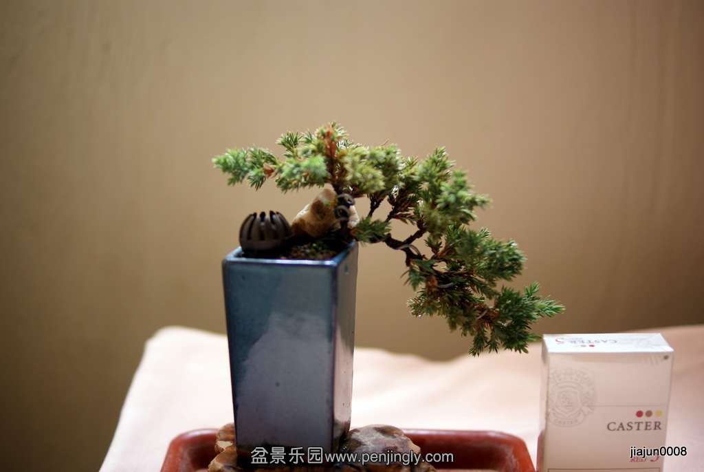 DSC08155.JPG