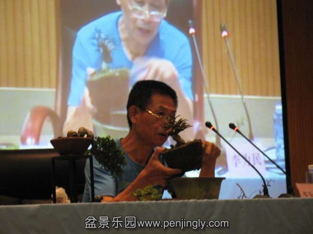 IMG_6918.JPG