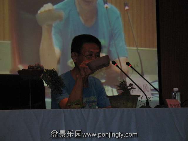 IMG_6916.JPG