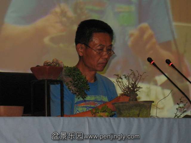 IMG_6912.JPG